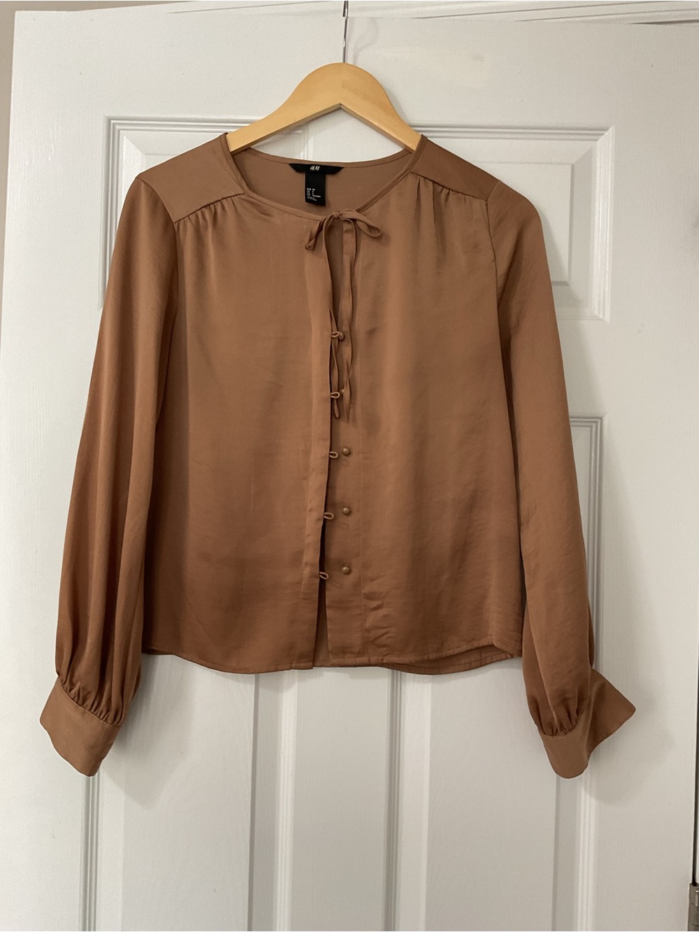 H&M Warm Brown Tie-Neck Button-Front Blouse